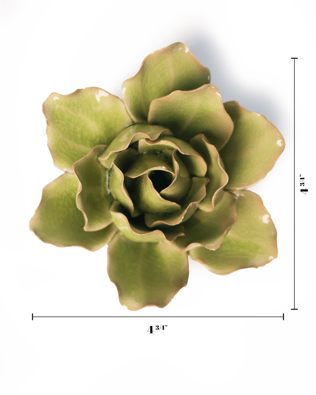 Peridot Stargazer Lily - Chive UK