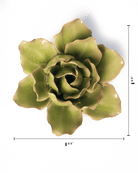 Peridot Stargazer Lily - Chive UK