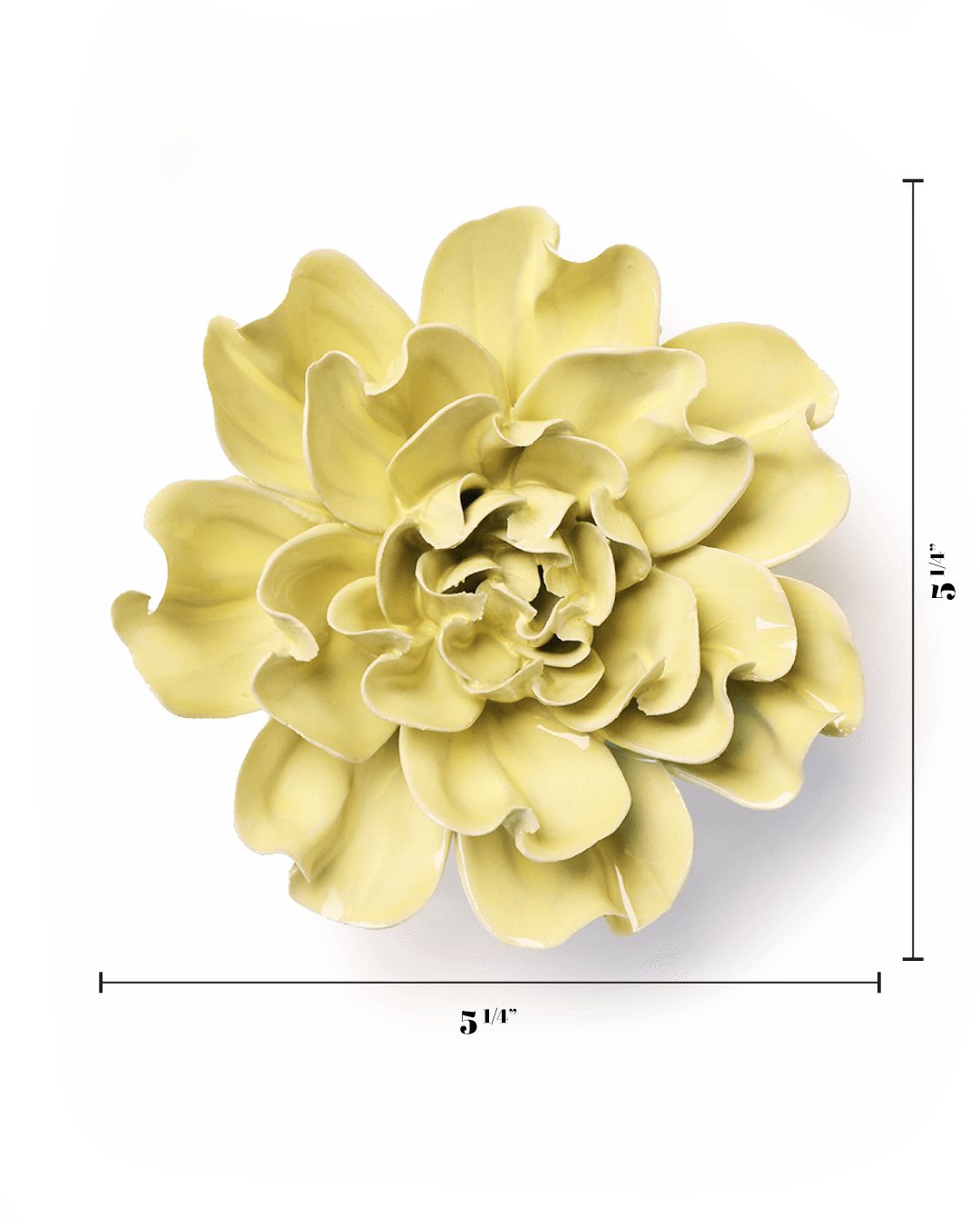 Lime Yellow Larkspur - Chive UK