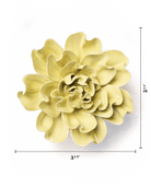 Lime Yellow Larkspur - Chive UK