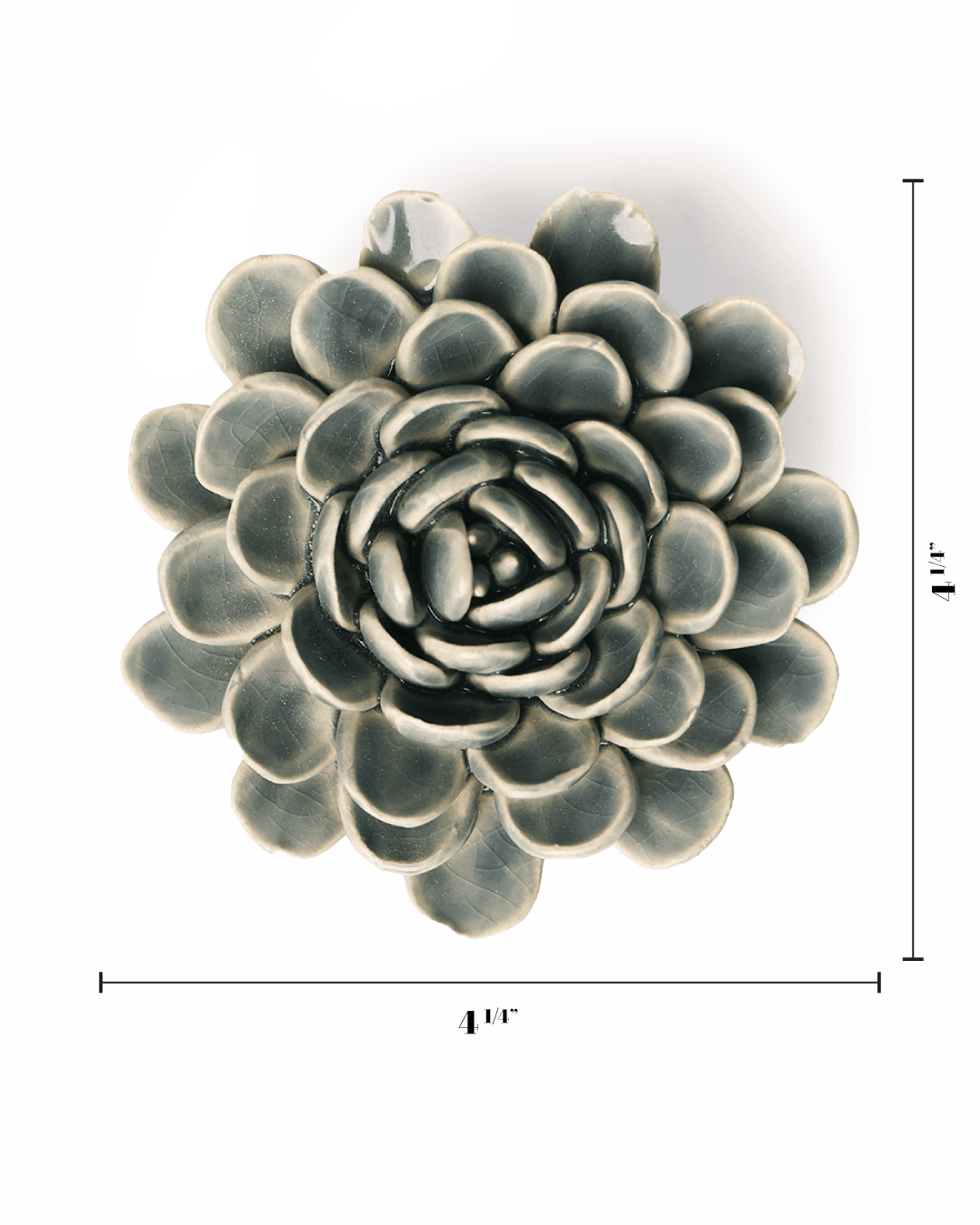 Pewter Blue Zinderella Zinnia - Chive UK