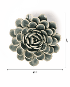 Pewter Blue Zinderella Zinnia - Chive UK