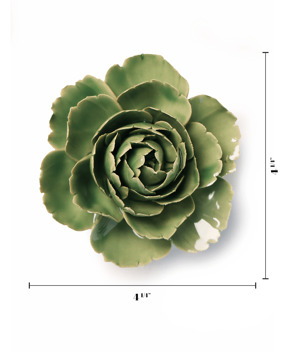 Jade Green English Rose - Chive UK