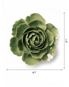 Jade Green English Rose - Chive UK