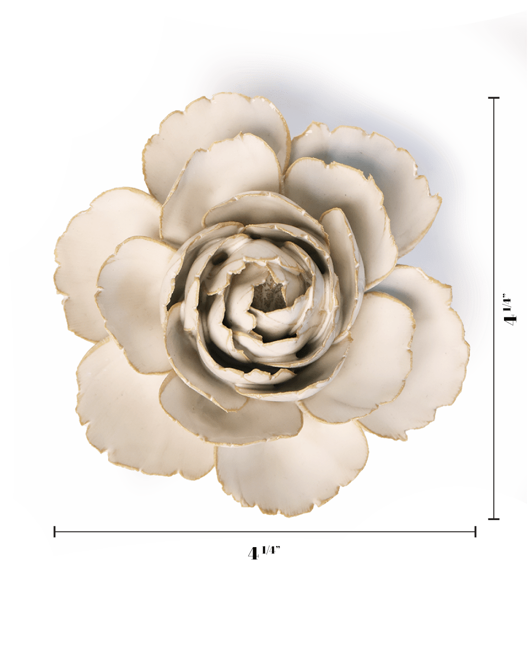 Ivory English Rose - Chive UK