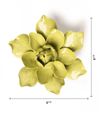 Chartreuse Columbine - Chive UK