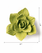 Chartreuse Gladiolus - Chive UK