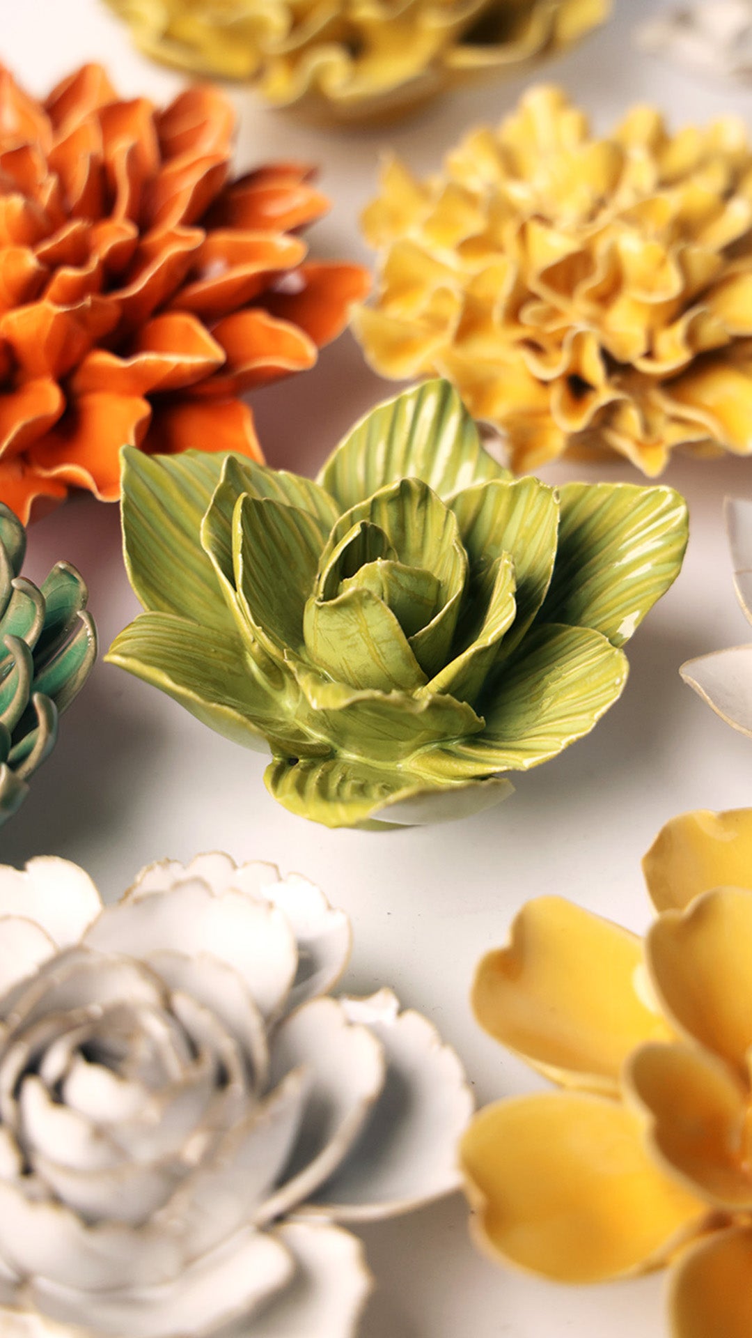 Chartreuse Gladiolus - Chive UK