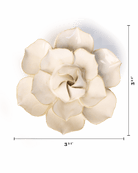 Ivory Daffodil - Chive UK