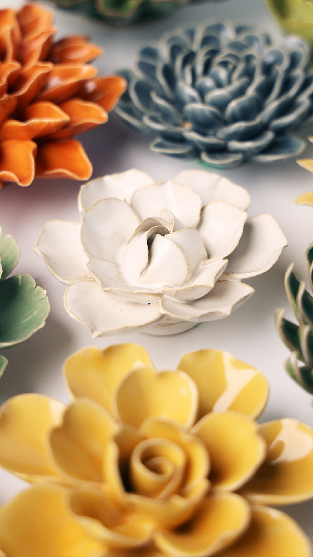 Ivory Daffodil - Chive UK