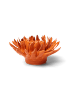 Orange Sarah Mum - Chive UK