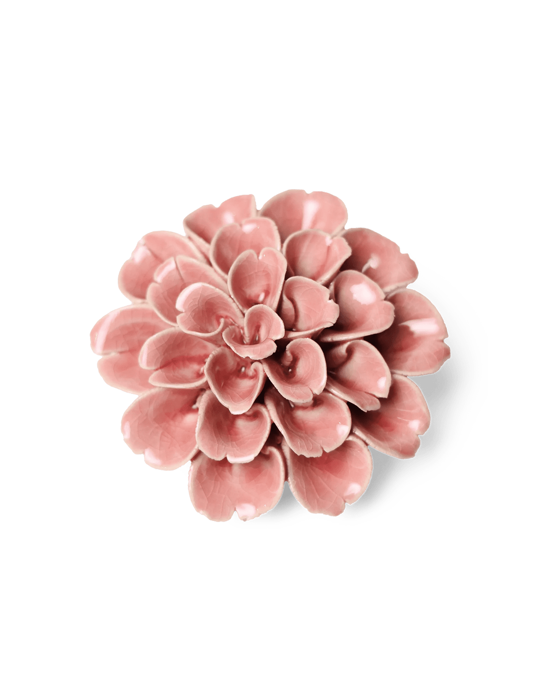 Champagne Pink Hydrangea - Chive UK