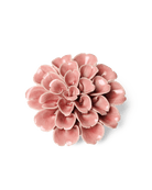 Champagne Pink Hydrangea - Chive UK