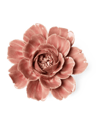 English Garden Champagne Pink Rose - Chive UK