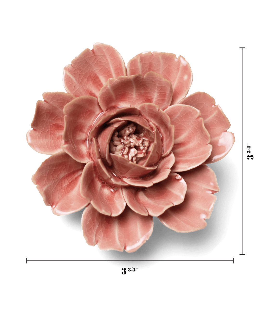 English Garden Champagne Pink Rose - Chive UK