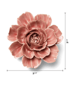 English Garden Champagne Pink Rose - Chive UK