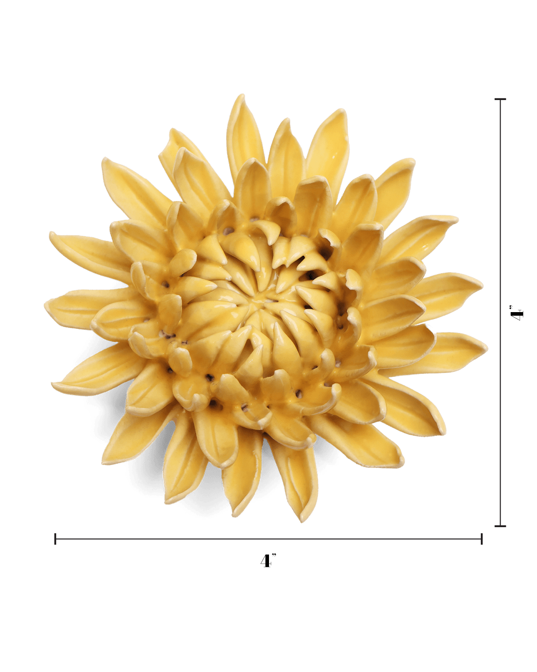 English Garden Canary Yellow Sarah Mum - Chive UK