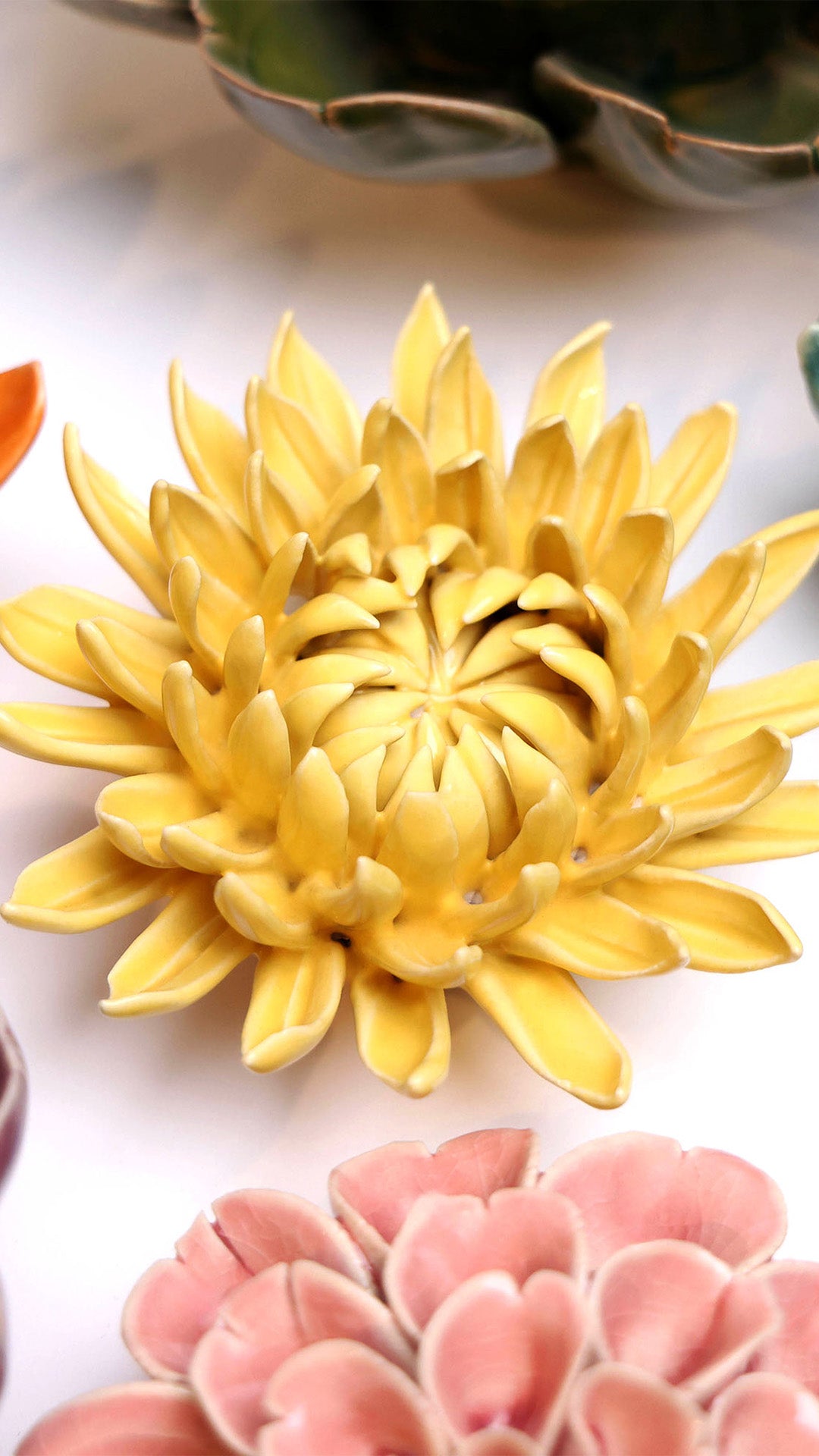 November Birth Flower - Chrysanthemum - Chive UK