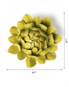 English Garden Chartreuse Sugarbush Protea - Chive UK