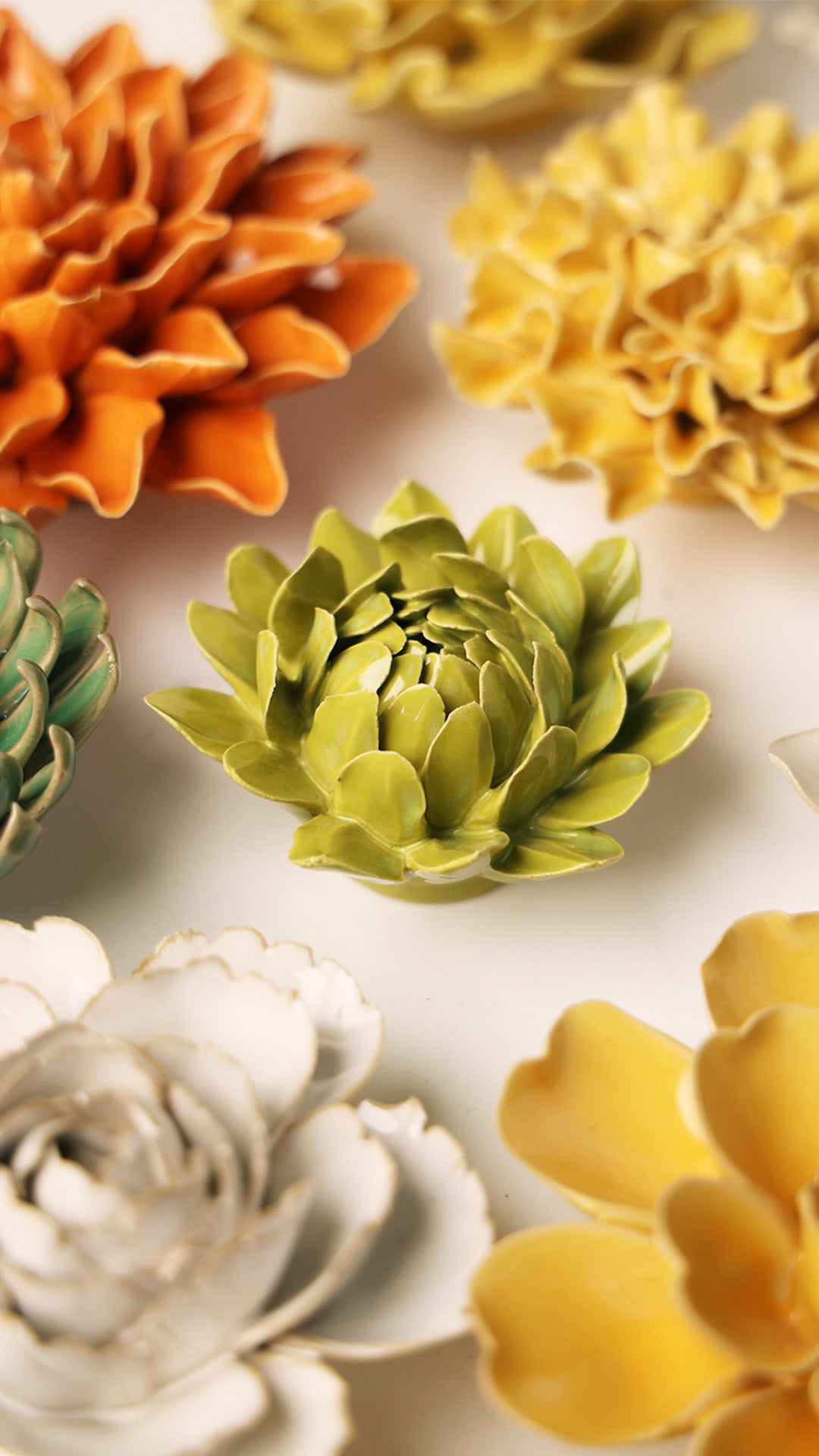 Chartreuse Sugarbush Protea - Chive UK