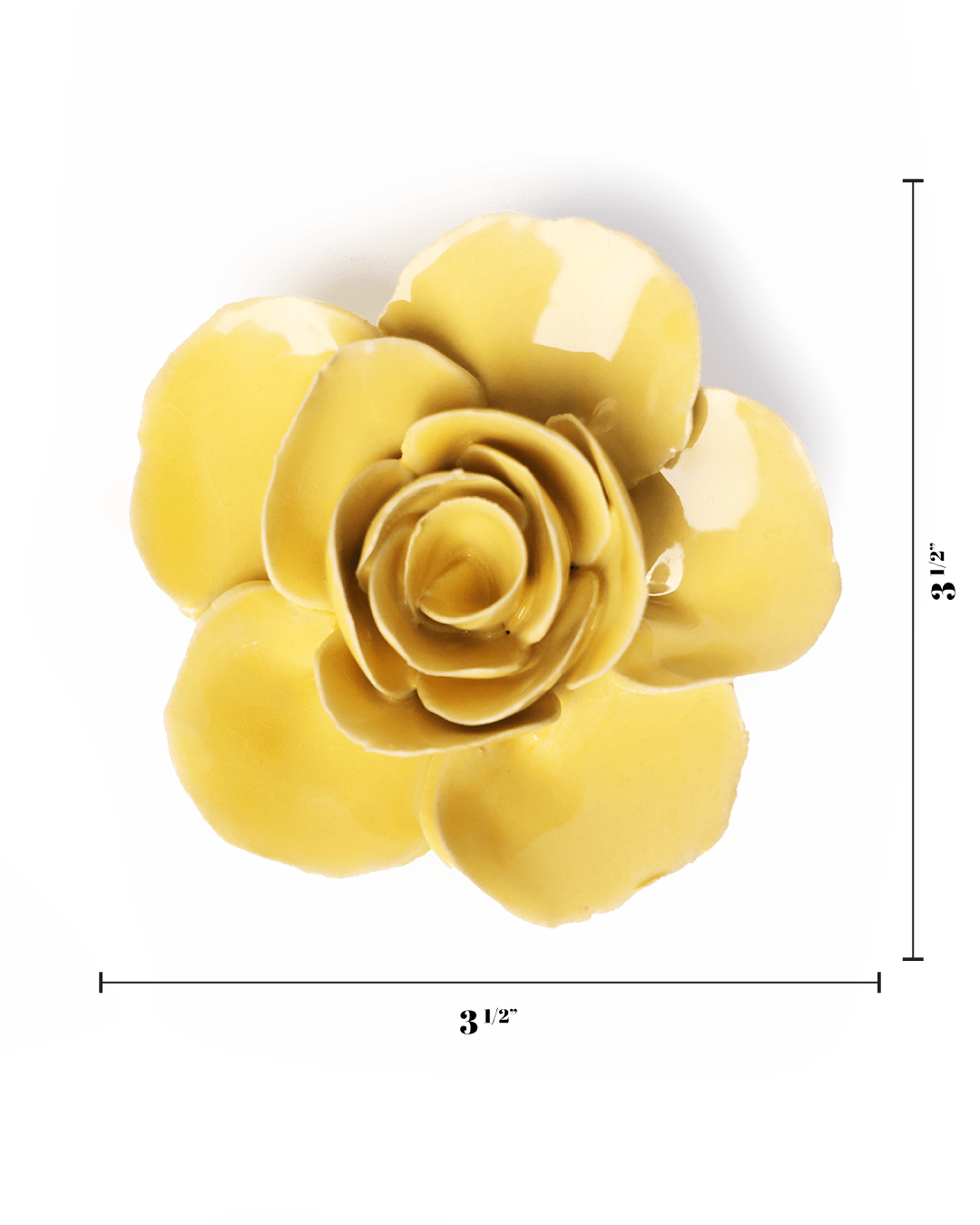 English Garden Buttercup Yellow Elegance Ranunculus - Chive UK