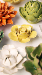 Buttercup Yellow Elegance Ranunculus - Chive UK