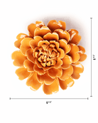 English Garden Orange Fiesta Marigold - Chive UK