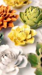 March Birth Flower - Daffodil - Chive UK