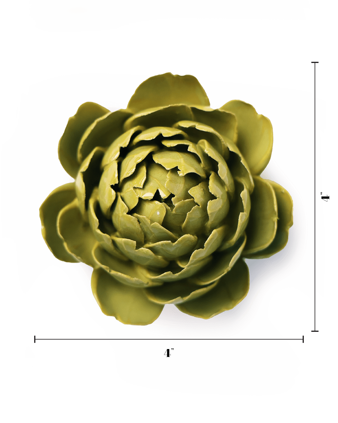 English Garden Chartreuse Queen Protea - Chive UK