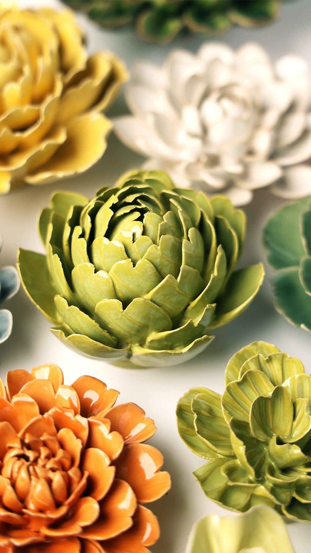 Chartreuse Queen Protea - Chive UK