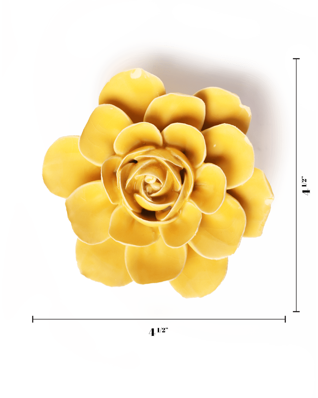 English Garden Burnt Yellow Begonia - Chive UK