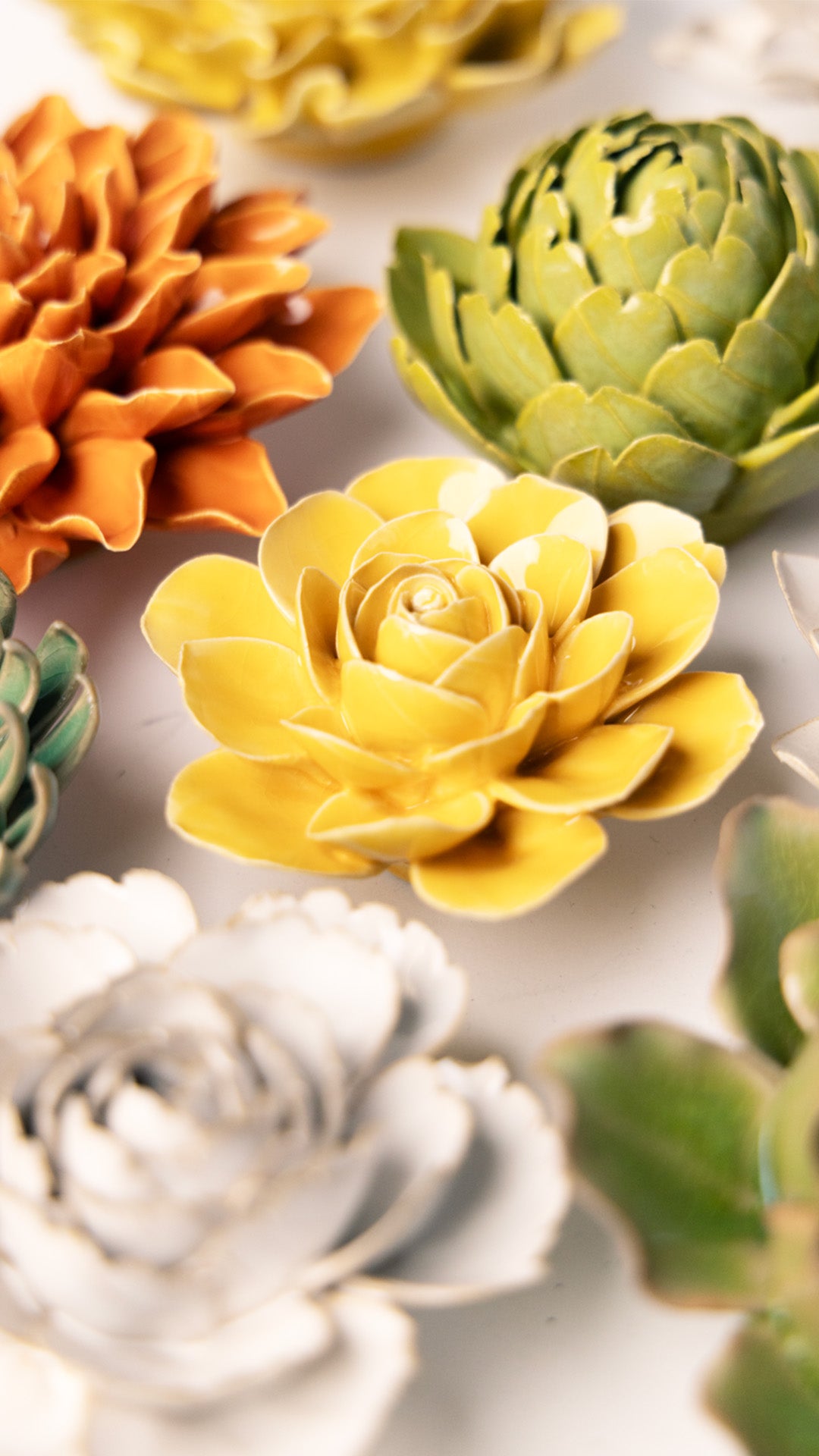 Burnt Yellow Begonia - Chive UK