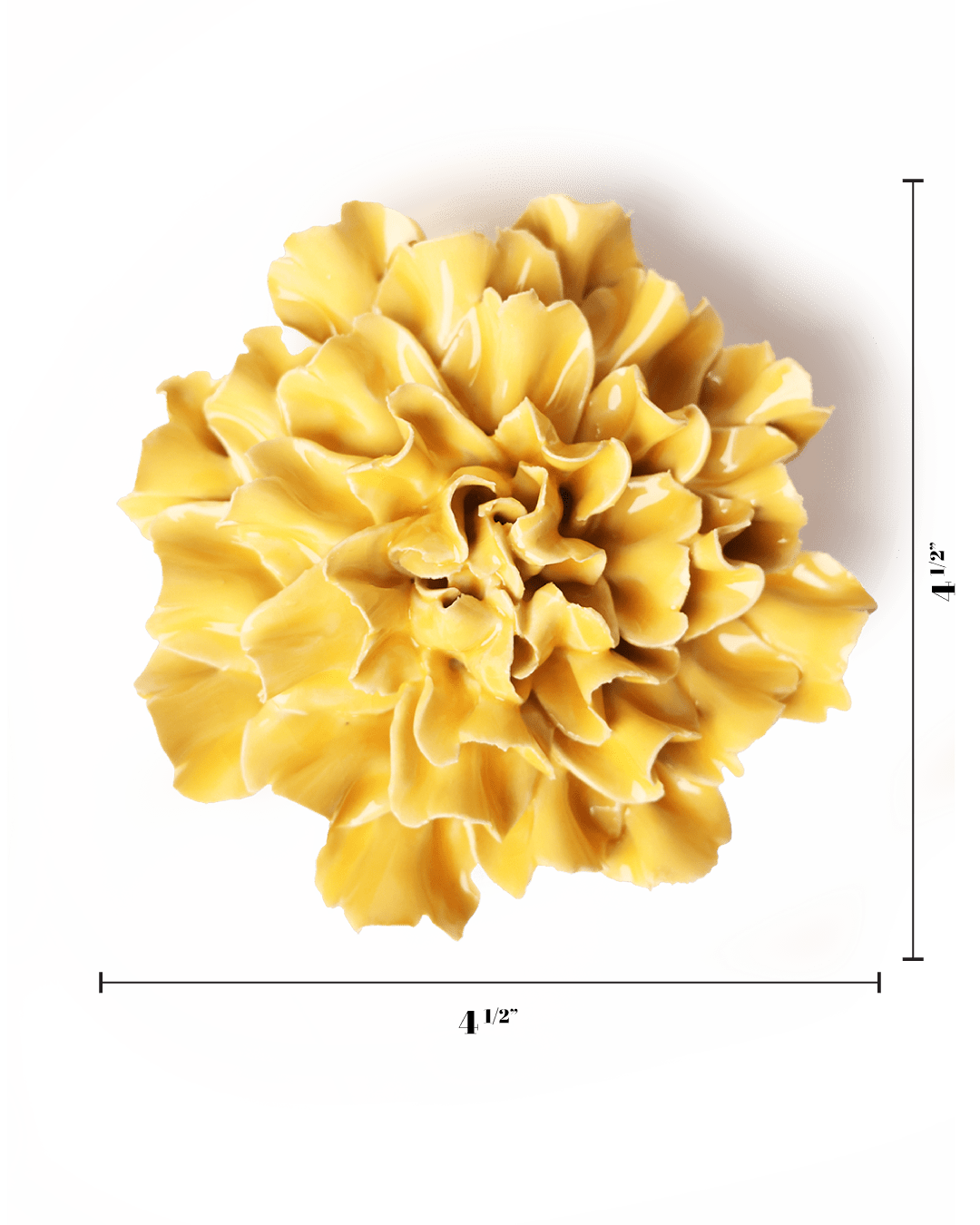 English Garden Burnt Yellow Tundra Carnation - Chive UK