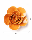 English Garden Orange Elegance Ranunculus - Chive UK