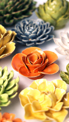 Orange Elegance Ranunculus - Chive UK