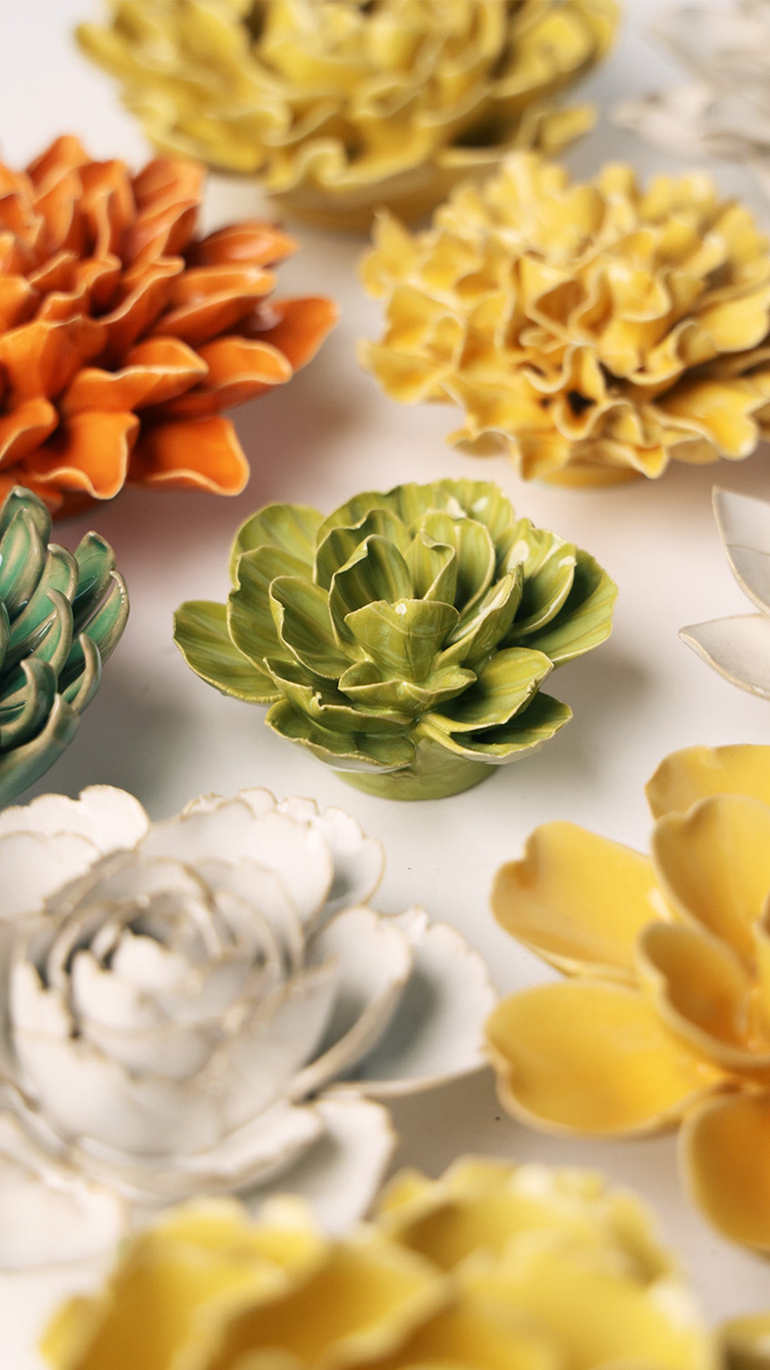 February Birth Flower - Primrose - Chive UK