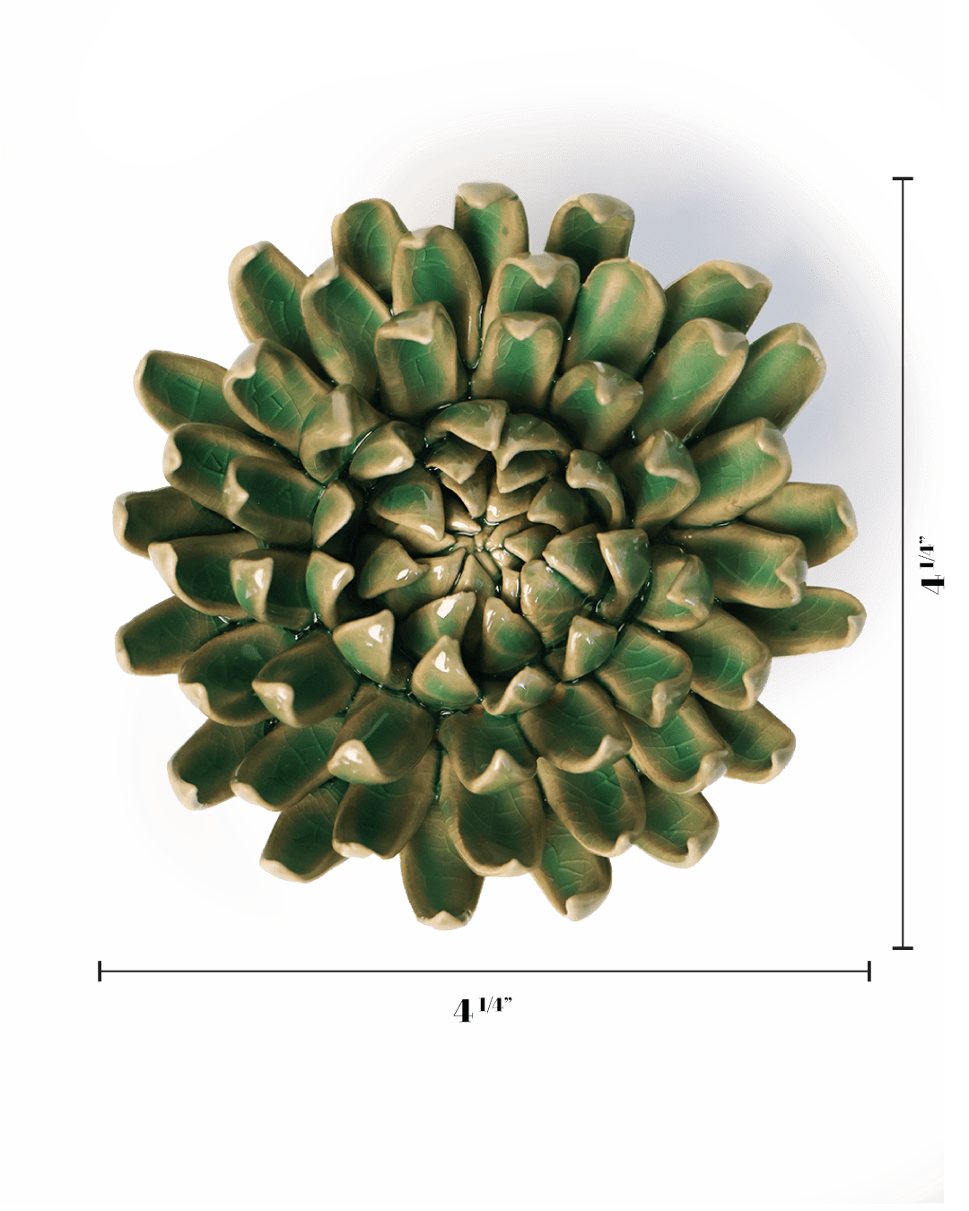 English Garden Jungle Green Pompom Mum - Chive UK