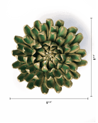 English Garden Jungle Green Pompom Mum - Chive UK
