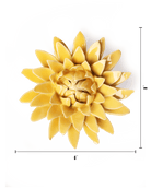 English Garden Burnt Yellow Strawflower - Chive UK