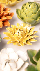 Burnt Yellow Strawflower - Chive UK