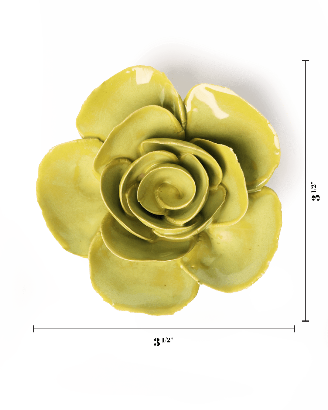 English Garden Chartreuse Elegance Ranunculus - Chive UK