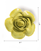 English Garden Chartreuse Elegance Ranunculus - Chive UK