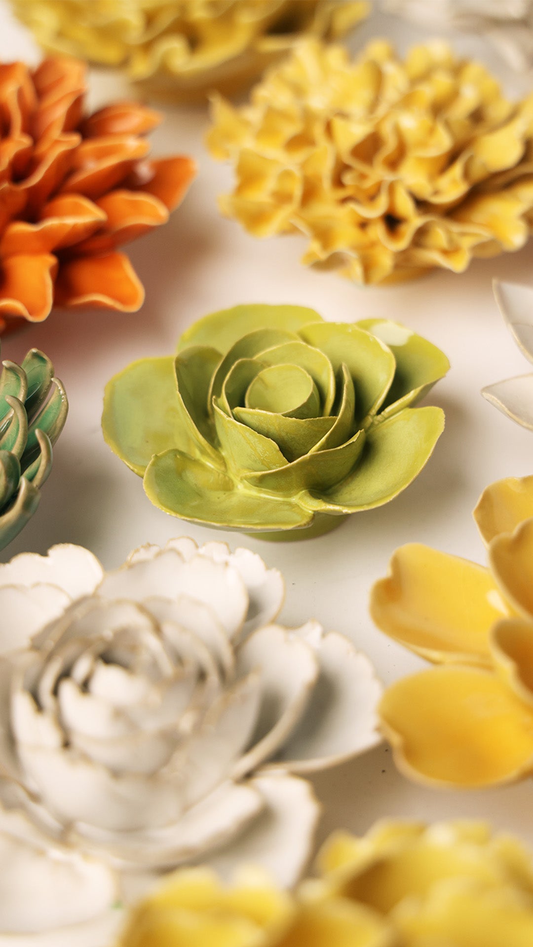 Chartreuse Elegance Ranunculus - Chive UK