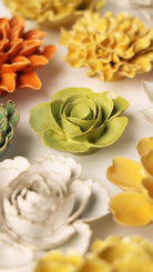 Chartreuse Elegance Ranunculus - Chive UK