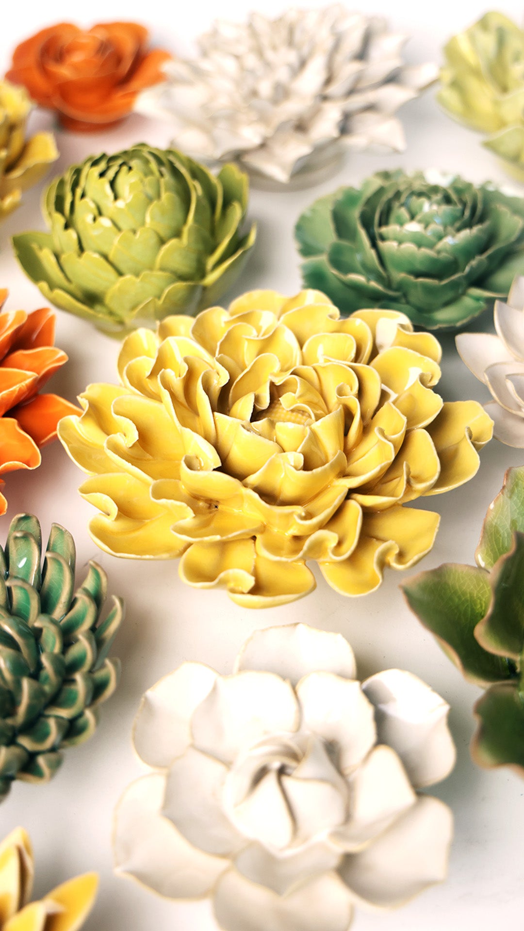 Buttercup Yellow Hawthorn - Chive UK