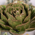 Ceramic Flower English Garden Curated Collection #1 - Chive UK