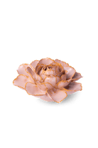 Rose Pink Camellia - Chive UK