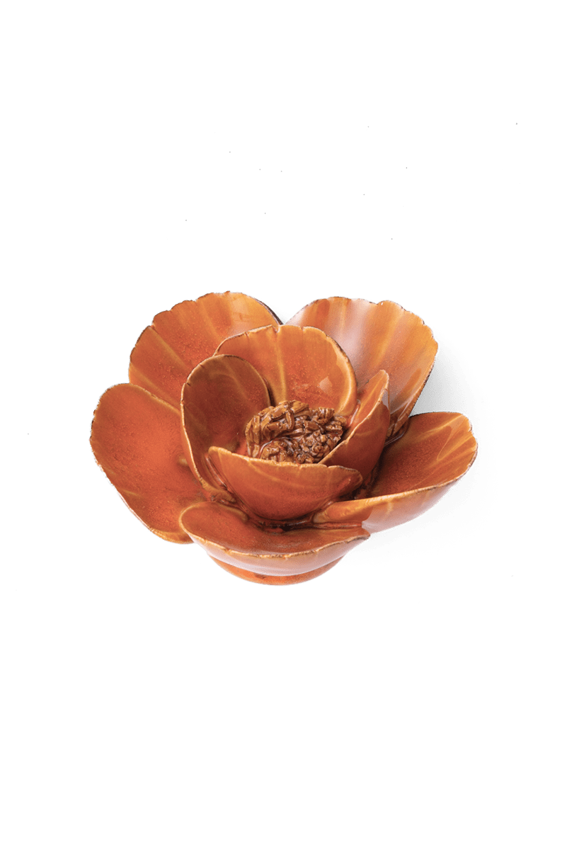 Burnt Orange Poppy - Chive UK