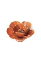 Burnt Orange Poppy - Chive UK