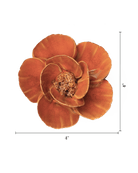 Burnt Orange Poppy - Chive UK